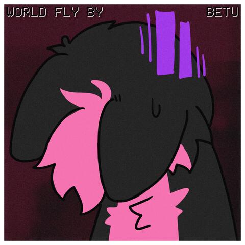 World Fly By album art