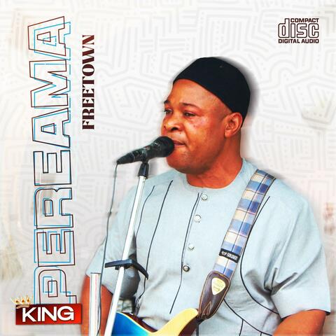 Ayebetebekememieghan album art