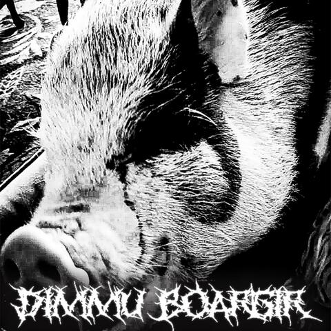 Dimmu Boargir album art