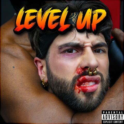 LEVEL UP album art