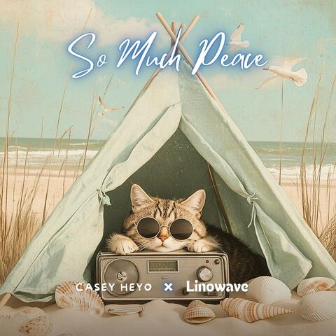 So Much Peace album art