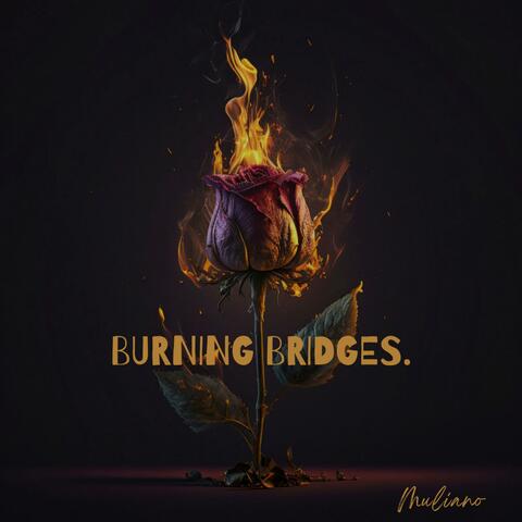 BURNING BRIDGES album art