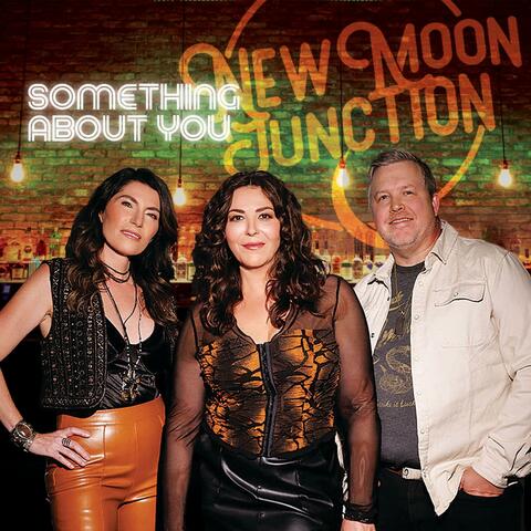 Something About You album art