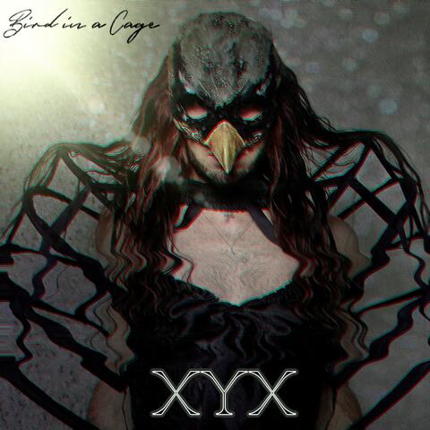 Bird in the Cage album art