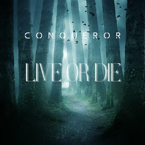 Live or Die (feat. Dr. Mats) [Live] album art