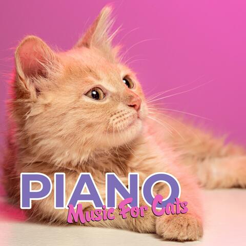 Relaxation Tunes for Cats album art