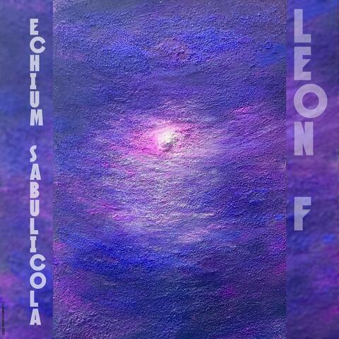 Echium Sabulicola album art