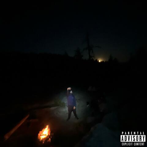 MSD album art