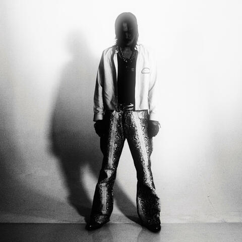 333 album art