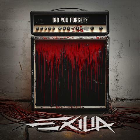 DID YOU FORGET? album art