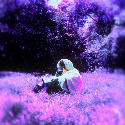 SONRISE album art