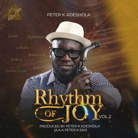 Rhythm of joy vol.2 album art