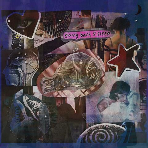 going back 2 sleep album art