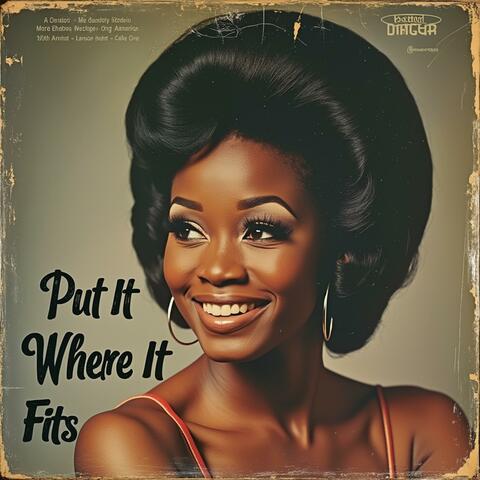 Put It Where It Fits album art