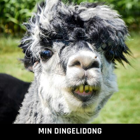 Min Dingelidong album art