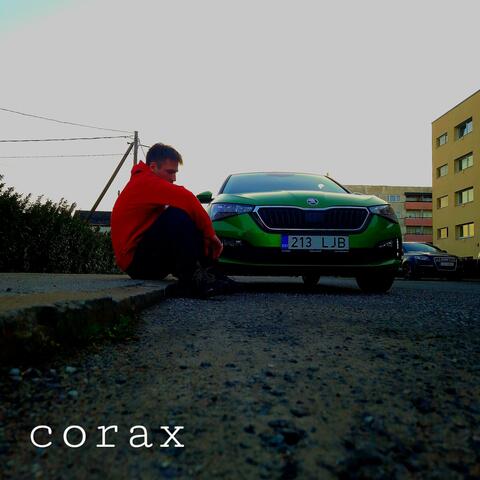 Roheline Shkoda album art