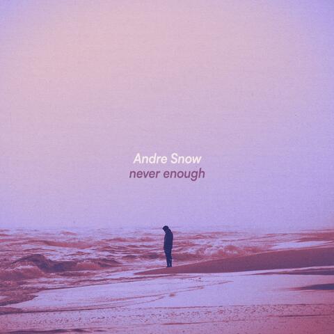 never enough album art