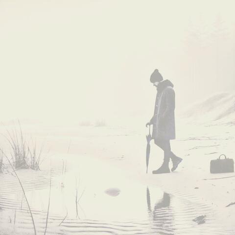 Flashpoint (Brännpunkt English version) album art