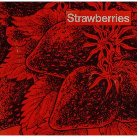 strawberries album art