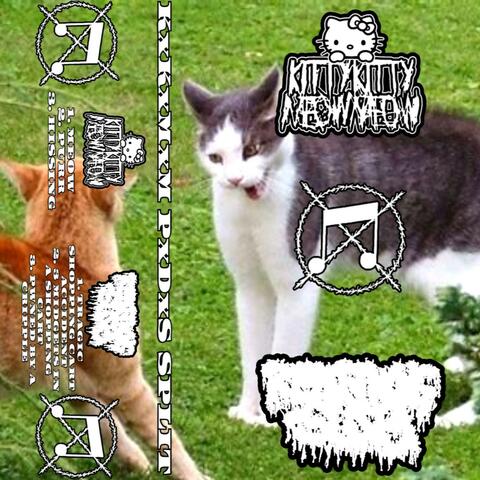 split w/ pxdxs album art