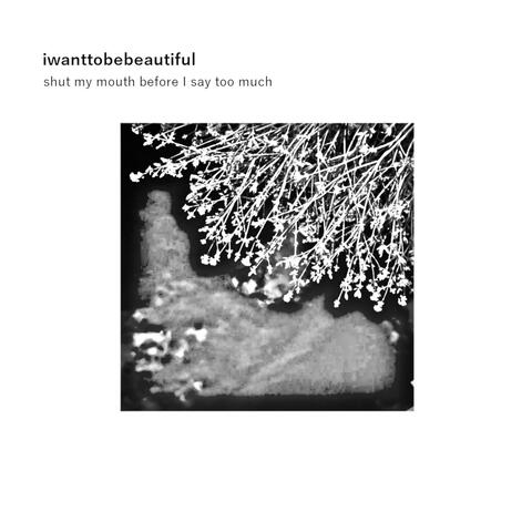shut my mouth before I say too much album art