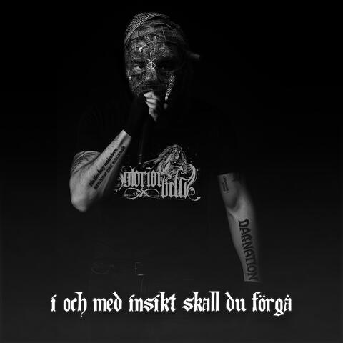I OCH MED INSIKT SKALL DU FÖRGÅ album art