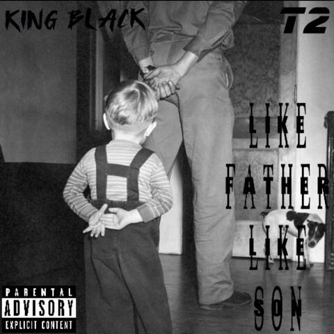 LiK3 fAtH3R LiK3 SON album art