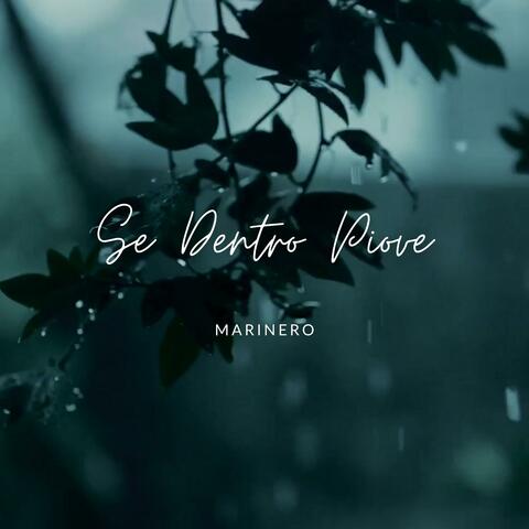 Se dentro piove album art