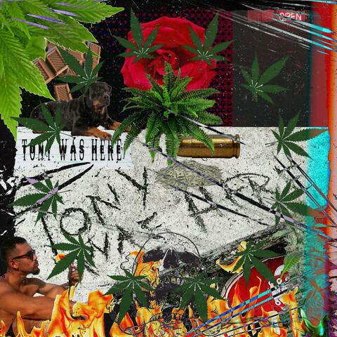 Tony Was Here album art