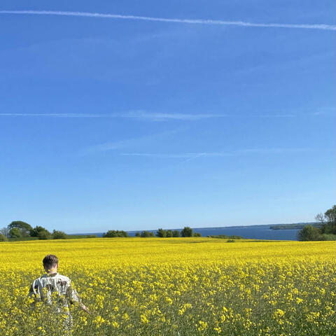 Svært at Forstå album art