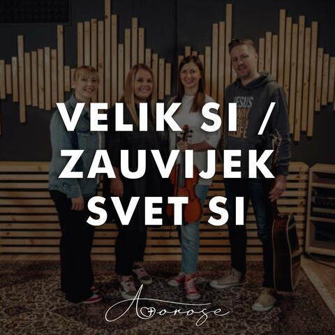 VELIK SI / ZAUVIJEK SVET SI album art
