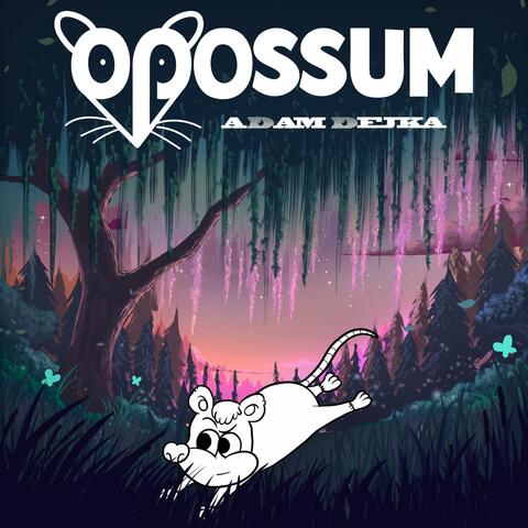 Opossum album art