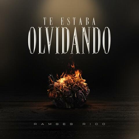 Te Estaba Olvidando album art