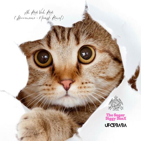Ah Kedi Vah Kedi (Hırraname - Namık Kemal) (feat. The Sugar Diggy DunX & UFCEBABA) album art
