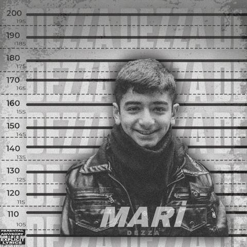 MARİ album art