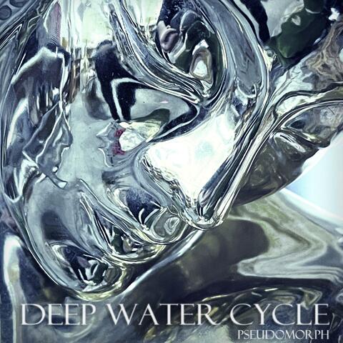 Pseudomorph album art