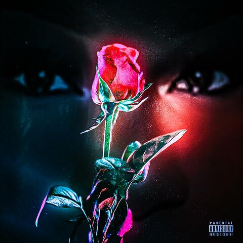 From Pop 2 Oak album art