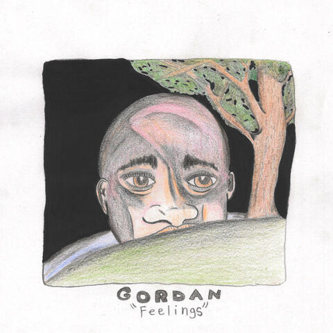 Feelings album art