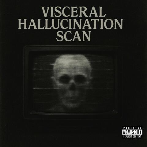 Visceral Hallucination Scan album art