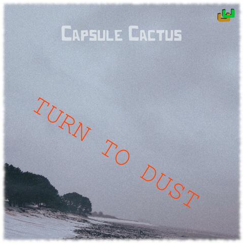 Turn to dust album art