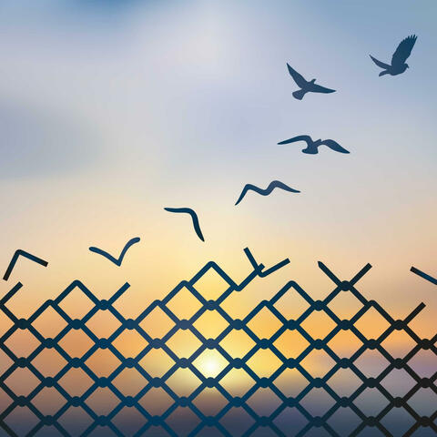 Won't Let Me Down (feat. Myriam Généreux) album art