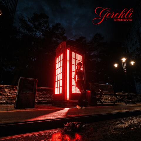GEREKLİ album art