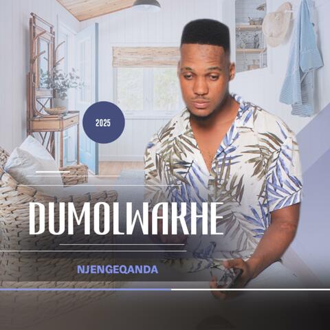 Njengeqanda album art