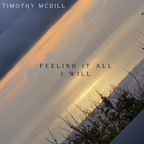 Feeling It All, I Will album art