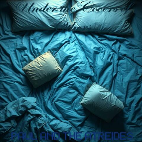Under The Covers of Others album art