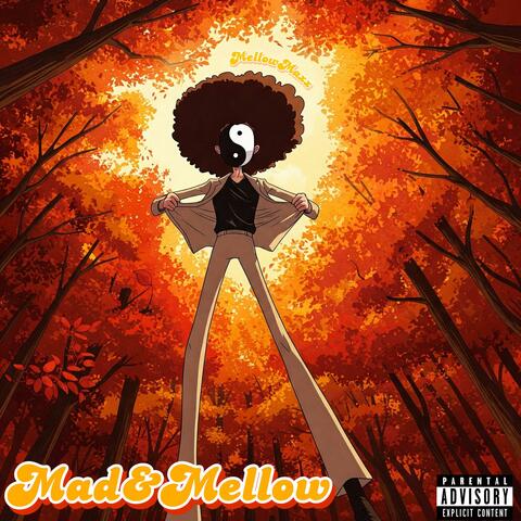 Mad&Mellow album art
