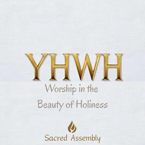 Worship in the Beauty of Holiness album art