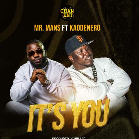 IT'S YOU album art