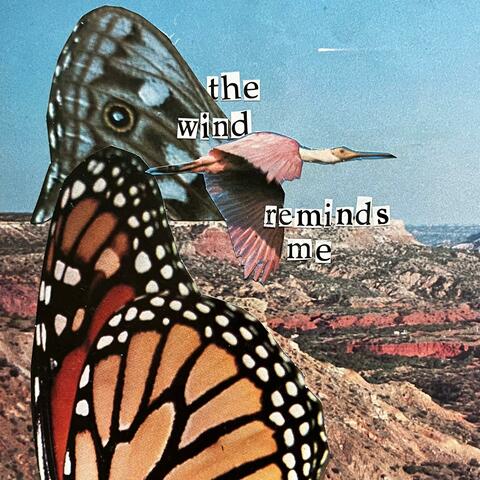 wind album art