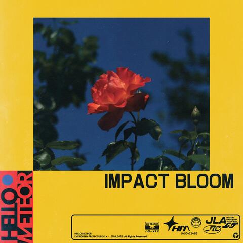 Impact Bloom album art